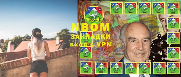 стаф Алексин
