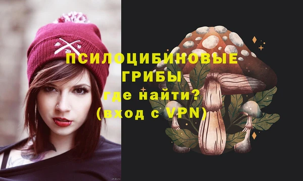 ГАЛЛЮЦИНОГЕННЫЕ ГРИБЫ Алексеевка
