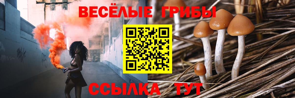 Галлюциногенные грибы Cubensis  Вход с VPN  Киров 